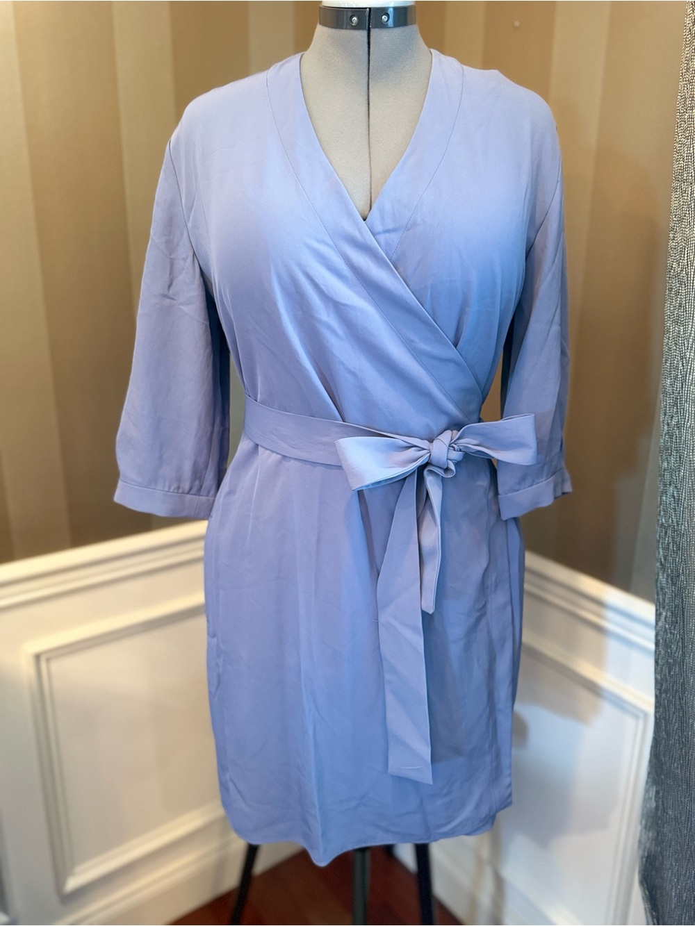 Everlane GoWeave Wrap Dress 8 Blue Periwinkle 3/4 Sleeve Quiet Luxury Office
